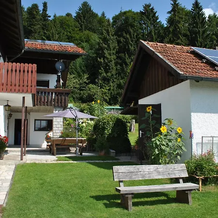 Fh-petzi Apartment